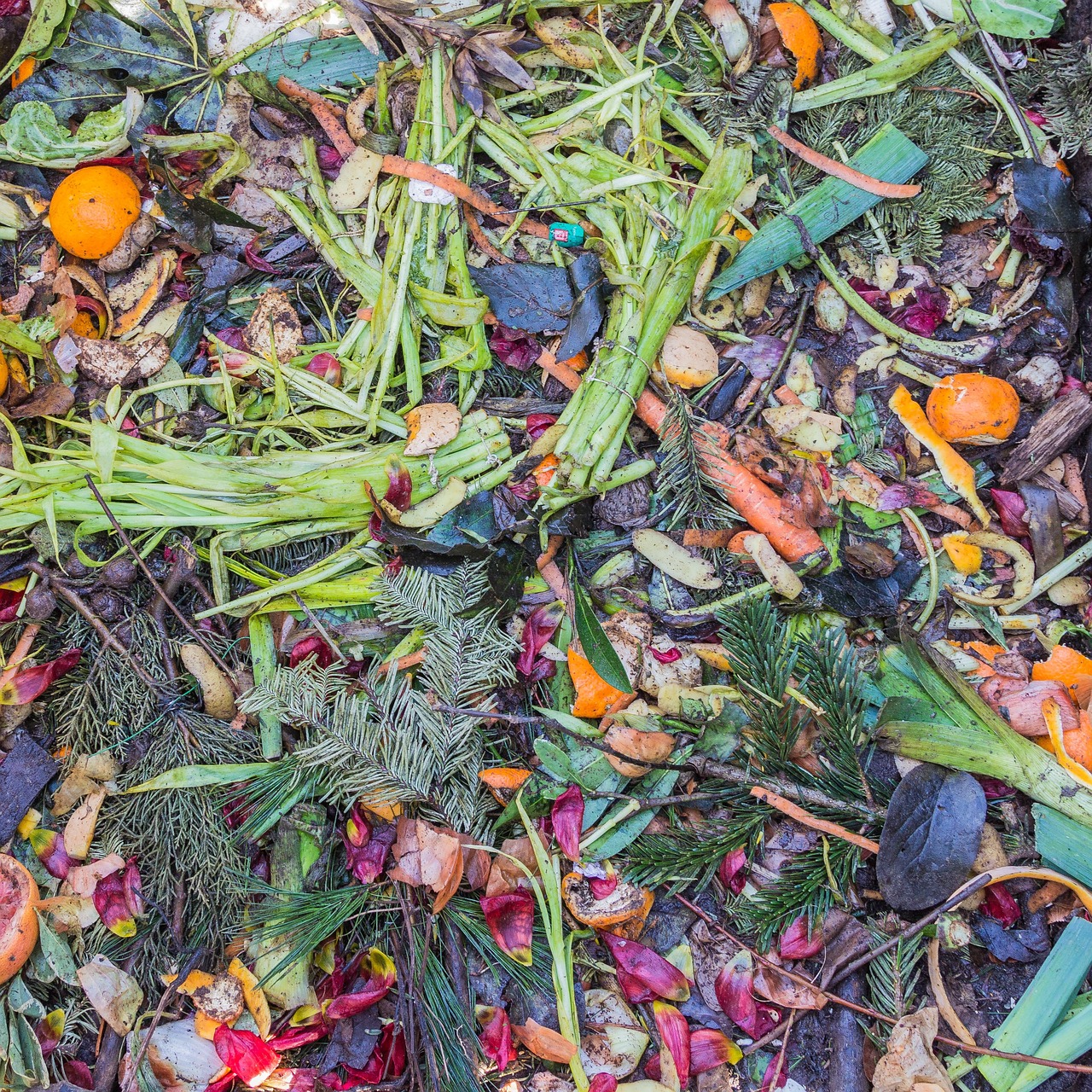 How to Compost Your Kitchen Scraps